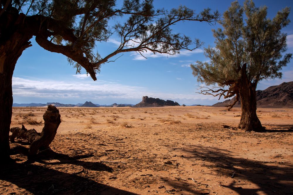 Photograph by Ali Alqassab