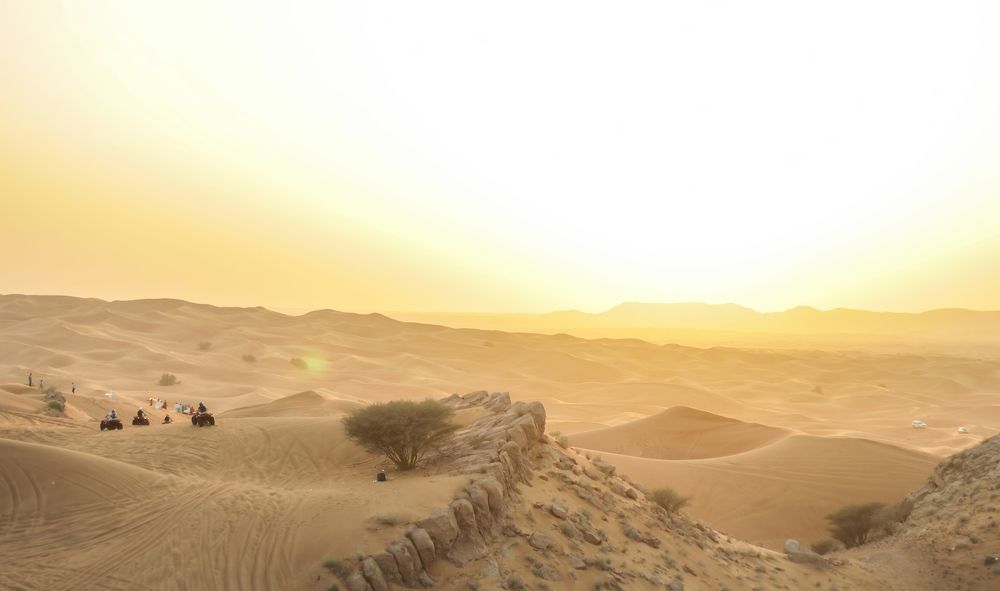 Photograph by Anujith Rajasekharan