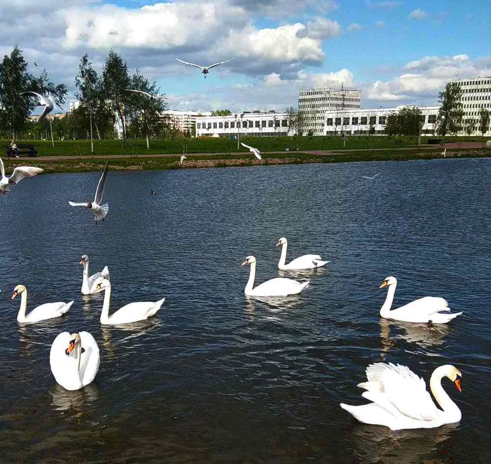 Фотография автора Галина Бобкина