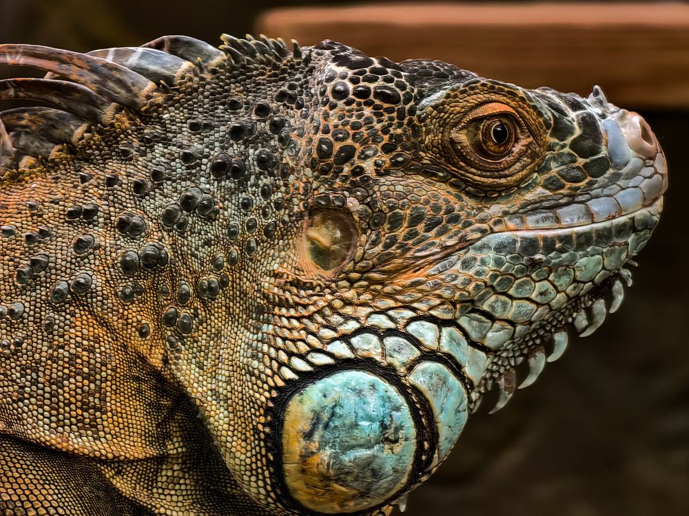 Photograph by Сергей Николаевич