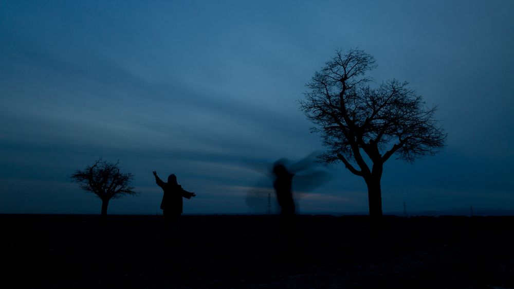 Photograph by seyed mostafa yousefi