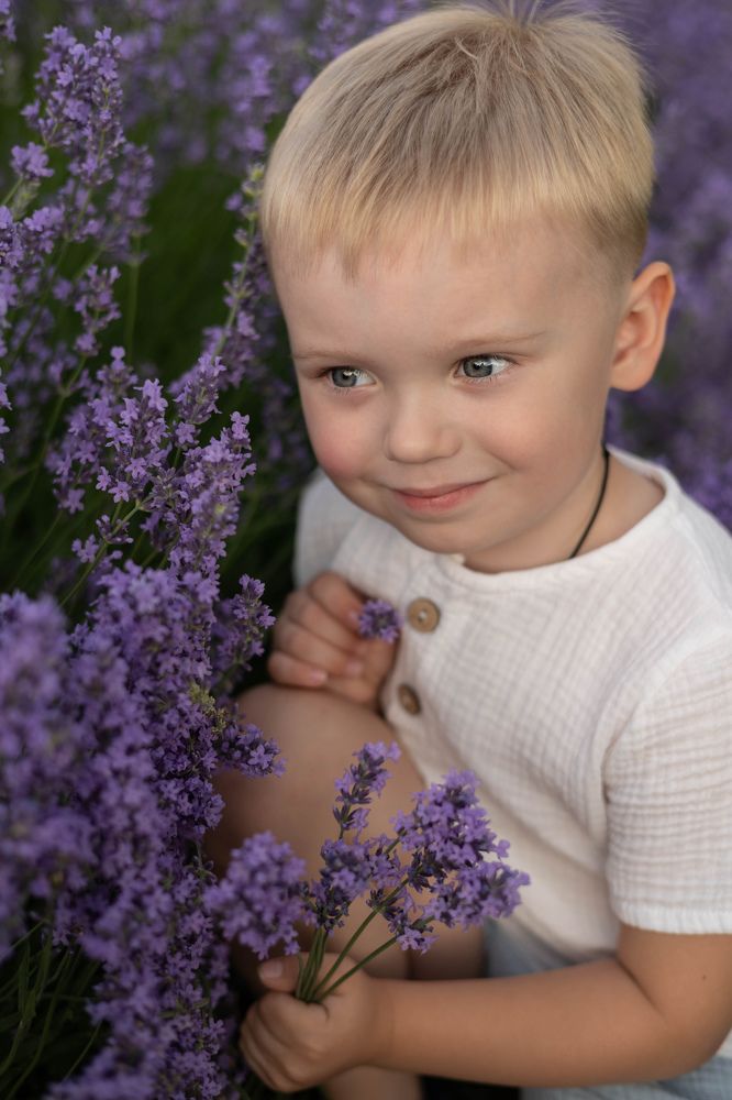 Лавандовая гармония