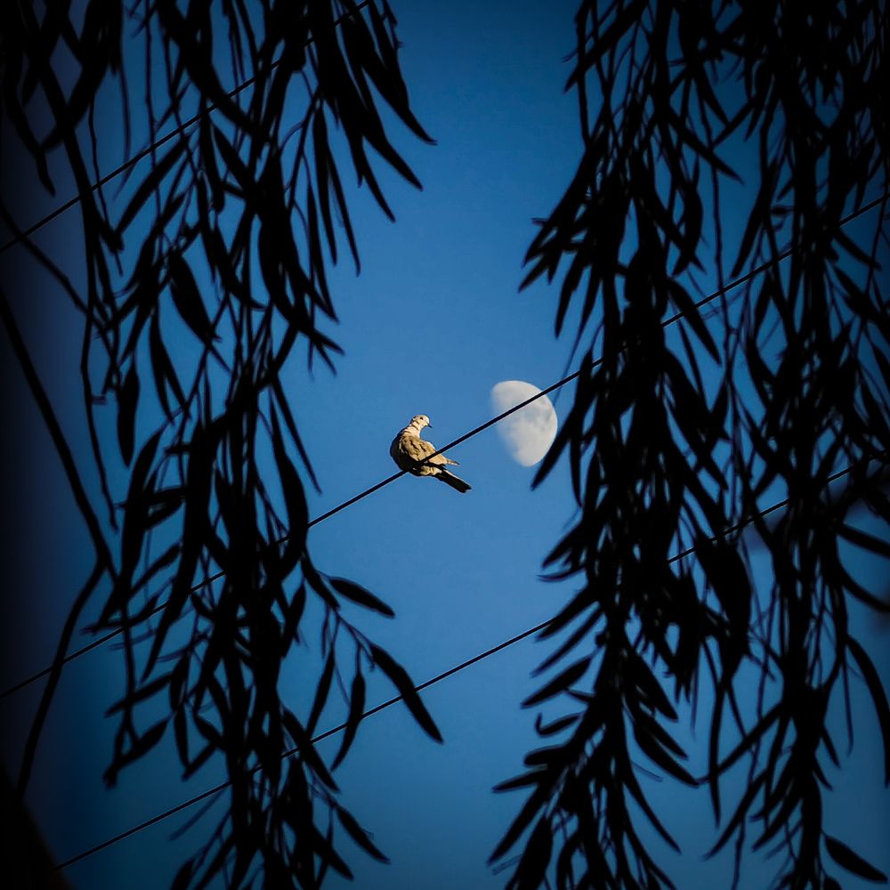 Photograph by Ivan Avitia