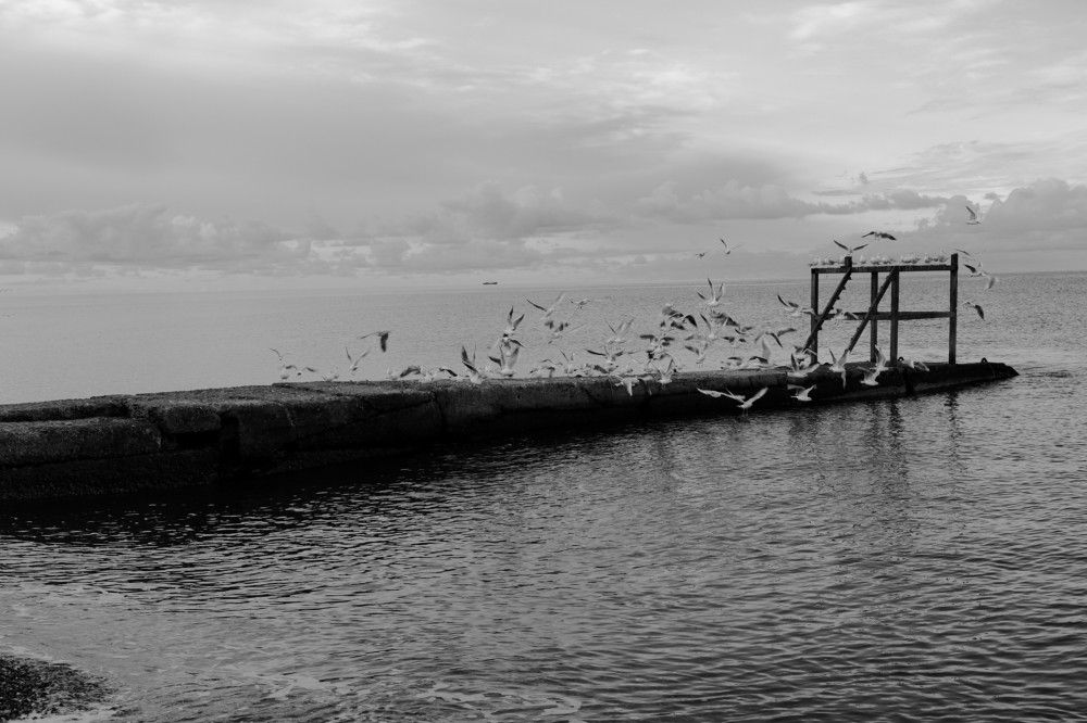 Photograph by Александр Очковский