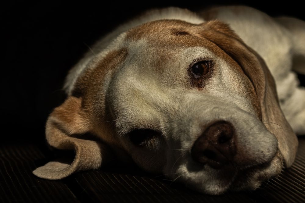 Photograph by Юлия Куликова