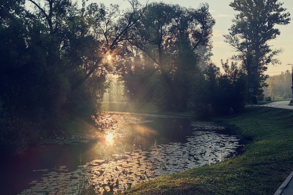 Photograph by Дмитрий Чебанов