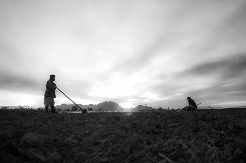 Photograph by seyed mostafa yousefi