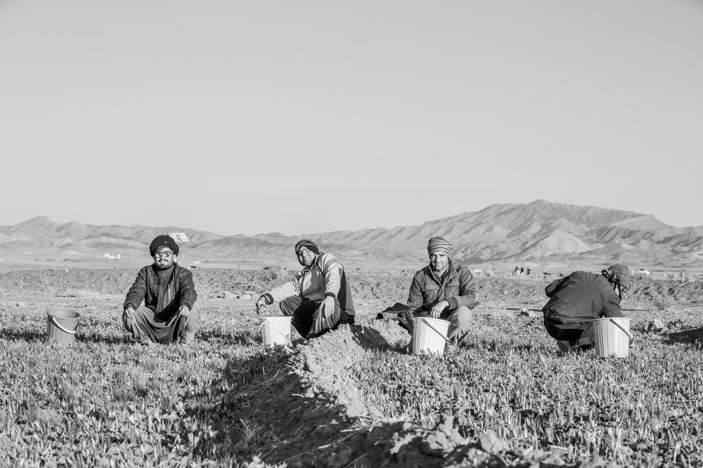 Photograph by seyed mostafa yousefi