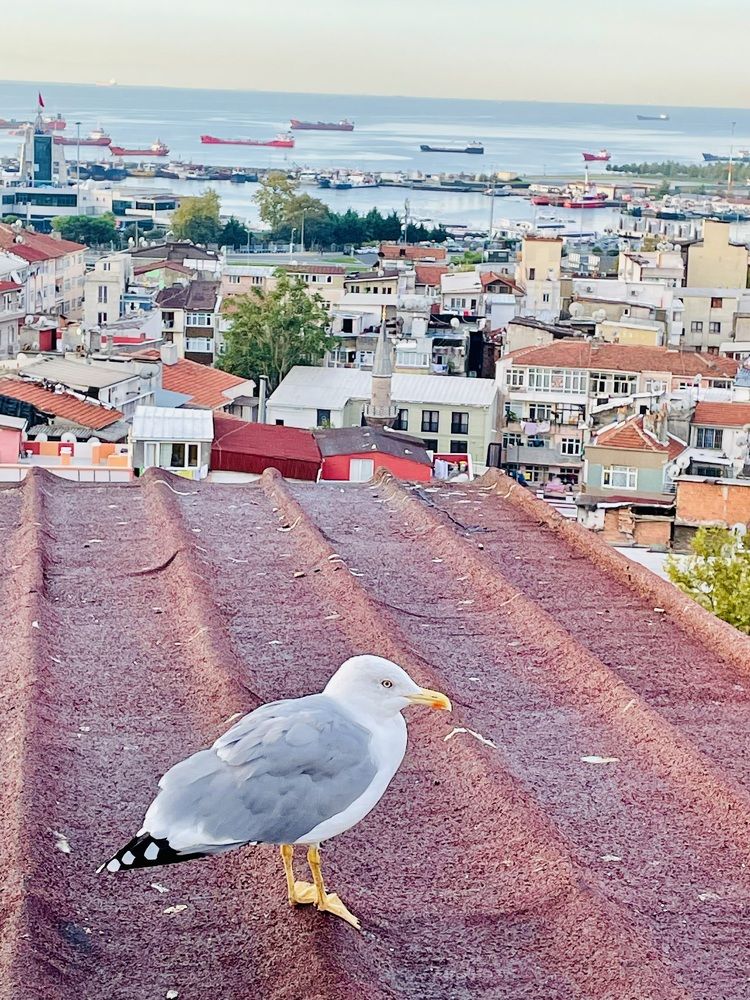 Photograph by Лариса