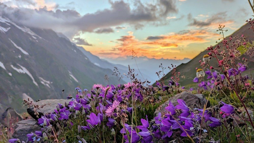 Фотография автора Pavel Bernshtam