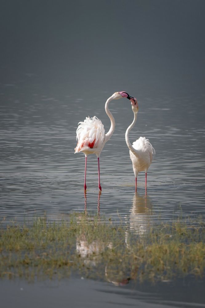 Photograph by Елена Якусева