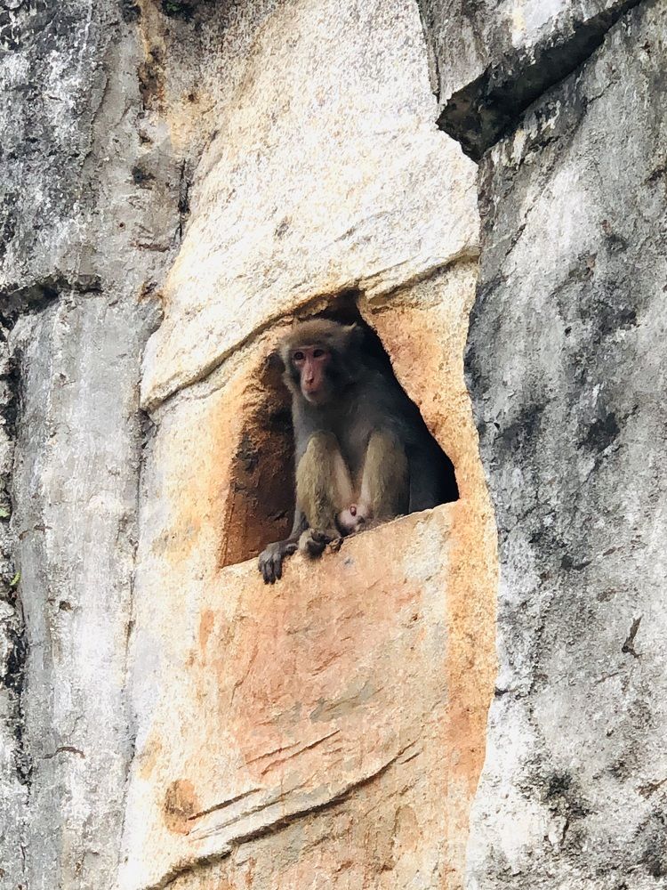 Photograph by Лариса