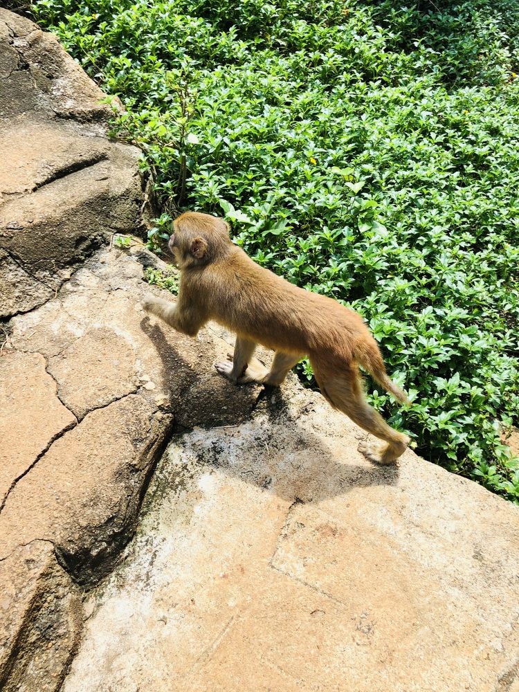 Photograph by Лариса