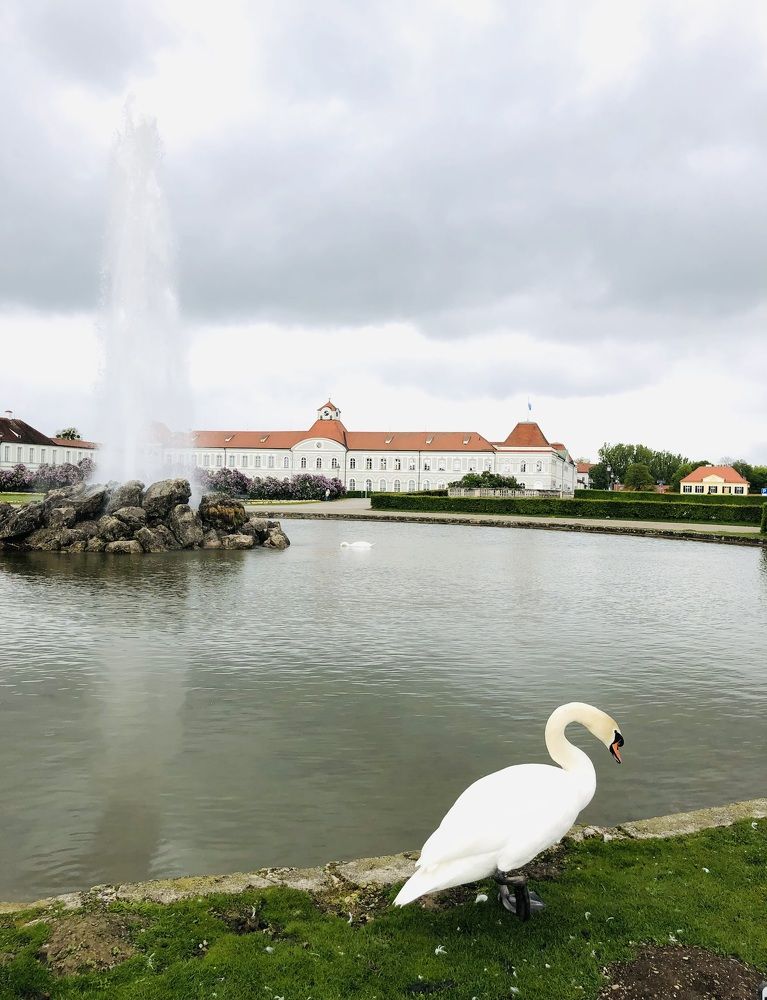 Photograph by Лариса