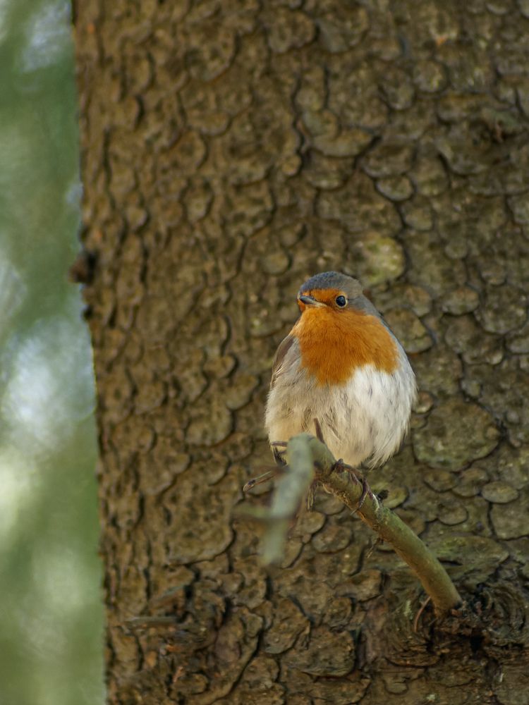 Photograph by Карина Заводчикова