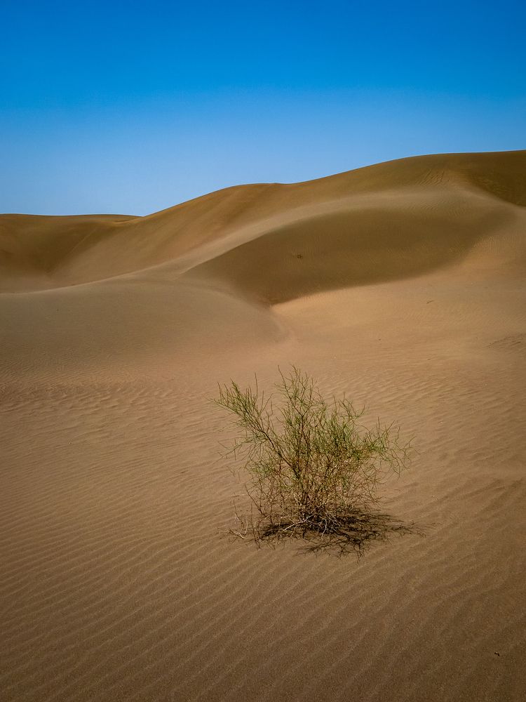 Photograph by Riahi Hosein