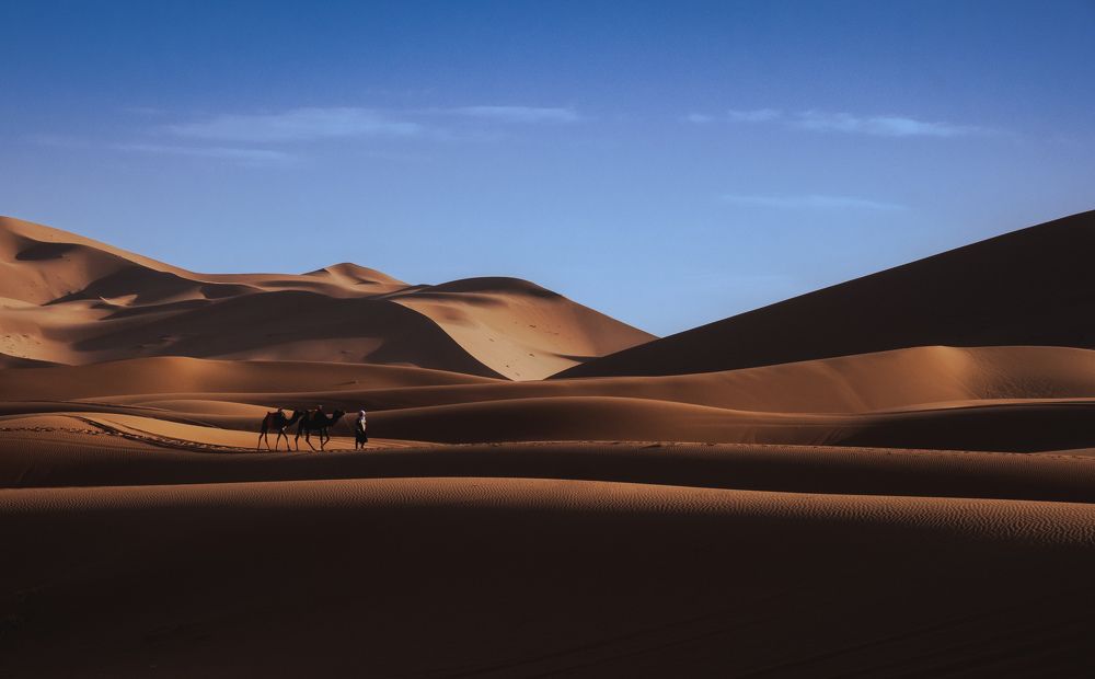 Photograph by Andrei