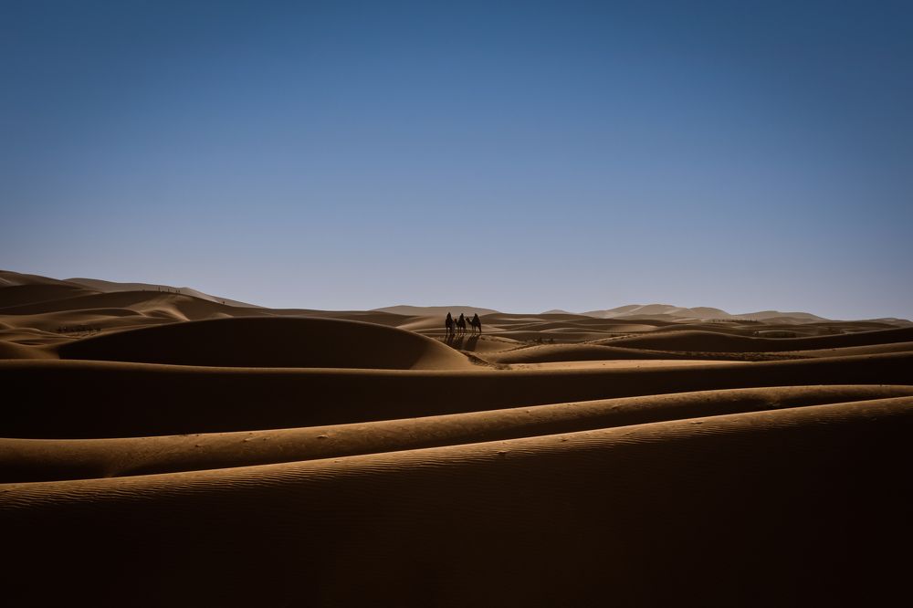 Photograph by Andrei