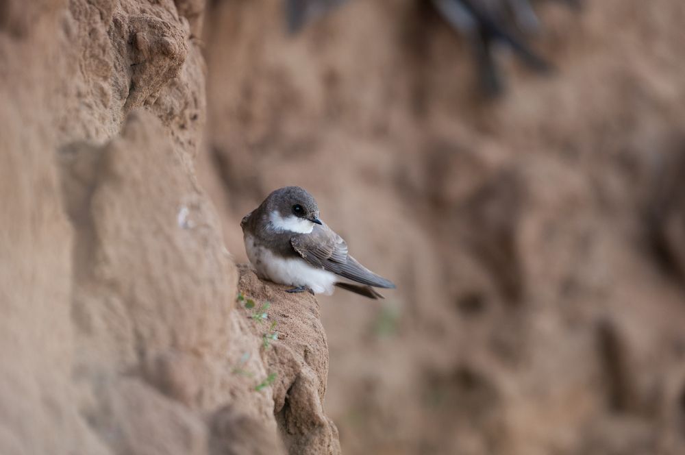 Photograph by Алексеев Артём