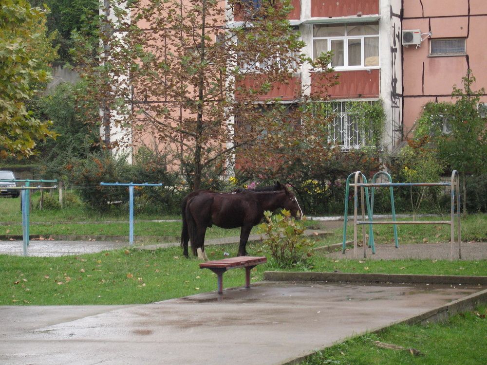 Фотография автора Марина Карасева