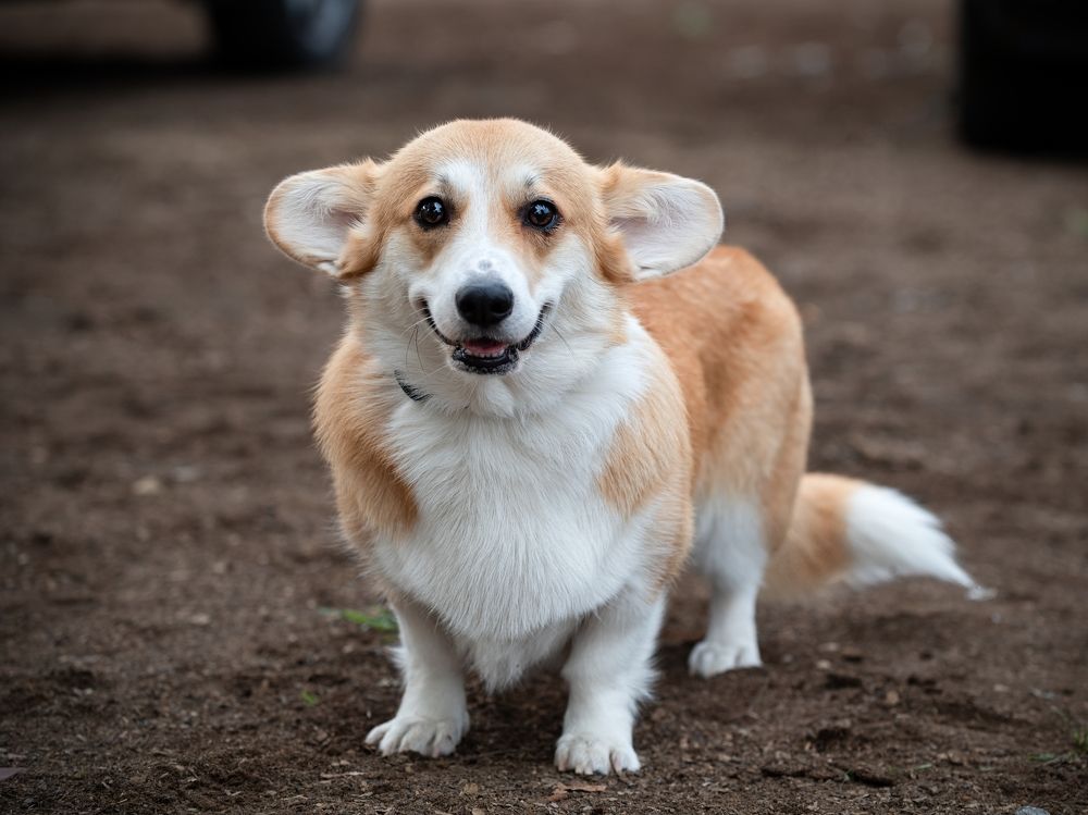 Photograph by Genadi Yakovlev