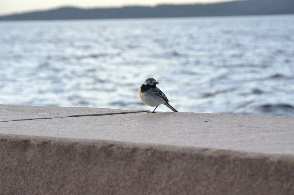 Photograph by Артем Великанов