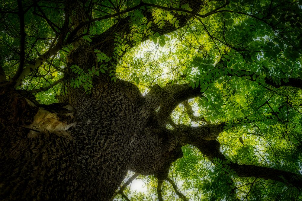 Photograph by Владимир Кваша