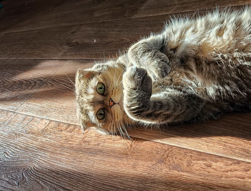 Photograph by Юрий Богачев