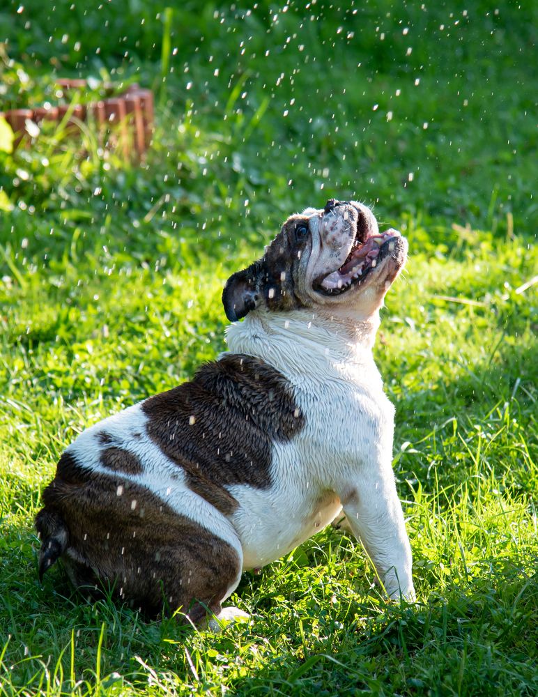 Photograph by Наталья Темная