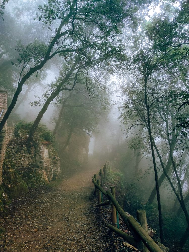 Фотография автора Alena Borisova