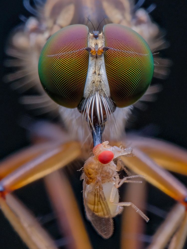 Photograph by catur handoko