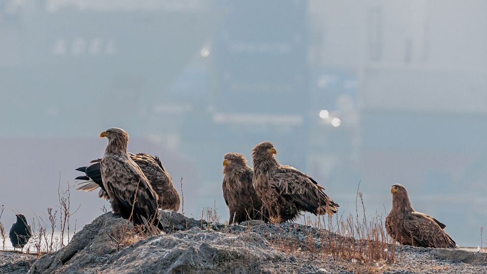 Photograph by константин