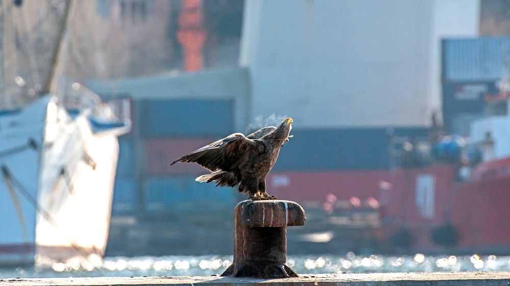 Photograph by константин