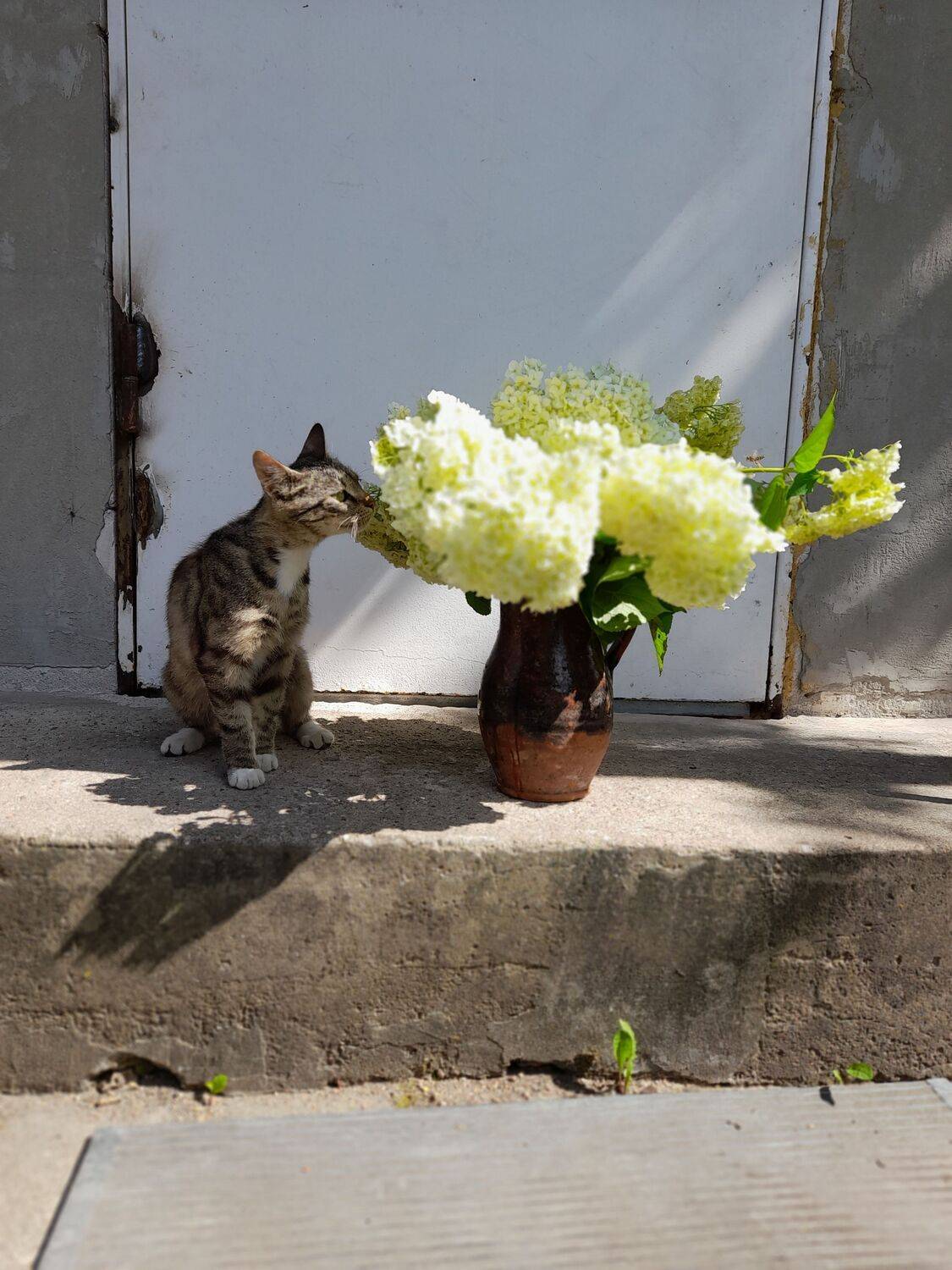 Photo #10854444