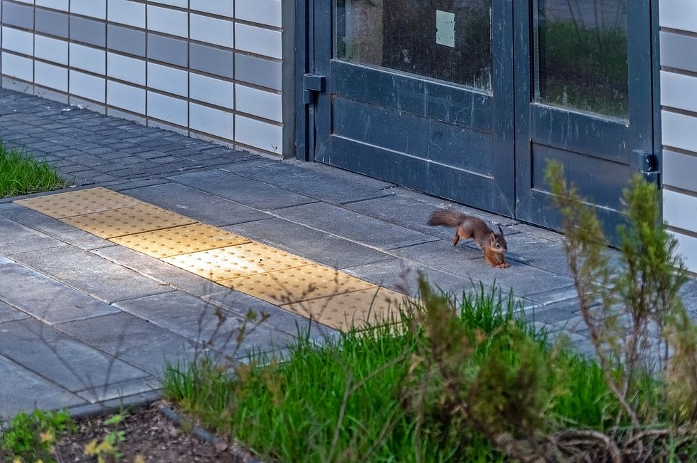 Photograph by Валерий Клейменов