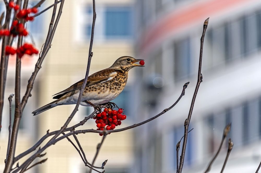 Photograph by Валерий Клейменов
