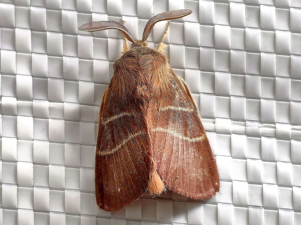 Photograph by Сергей Николаевич