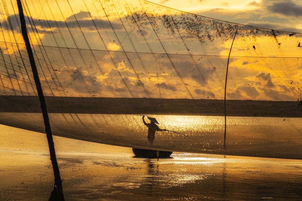 Photograph by Nguyễn Phan Đăng Quan