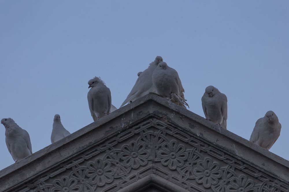 Photograph by Leanid Kulpo