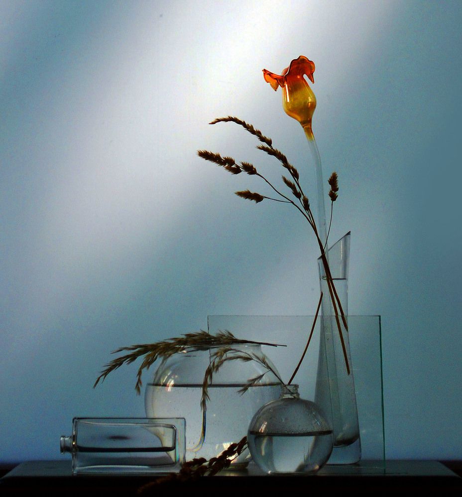 Photograph by 