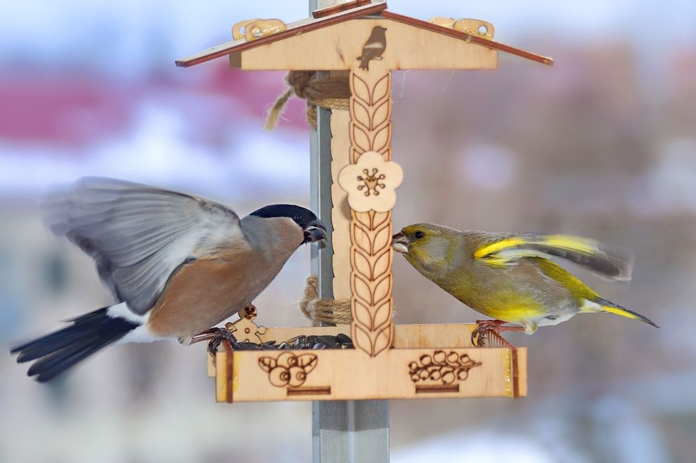 Photograph by Татьяна Бравая