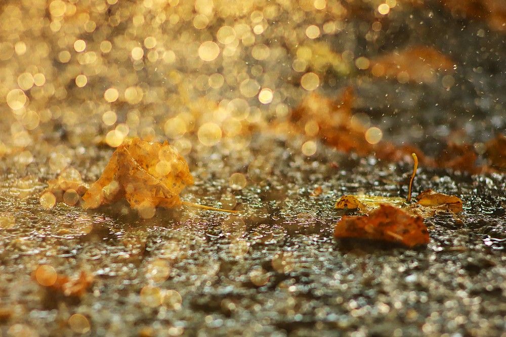 Фотография автора Михаил Лупина