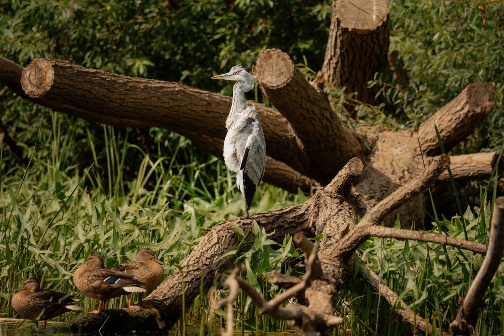 Photograph by Михаил Харитонычев