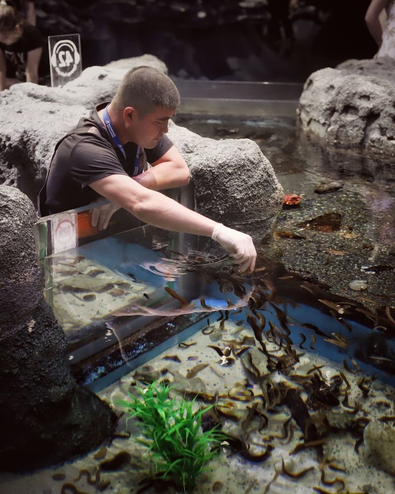 Photograph by MobigrafVDK