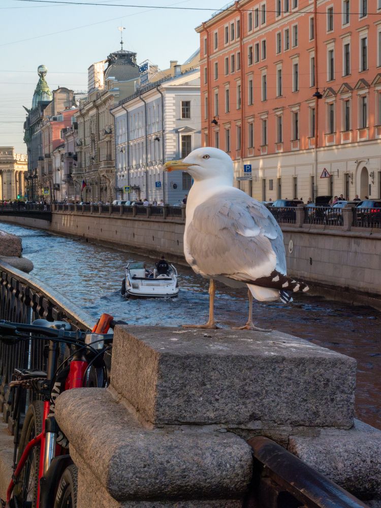 Photograph by Александр Васильев