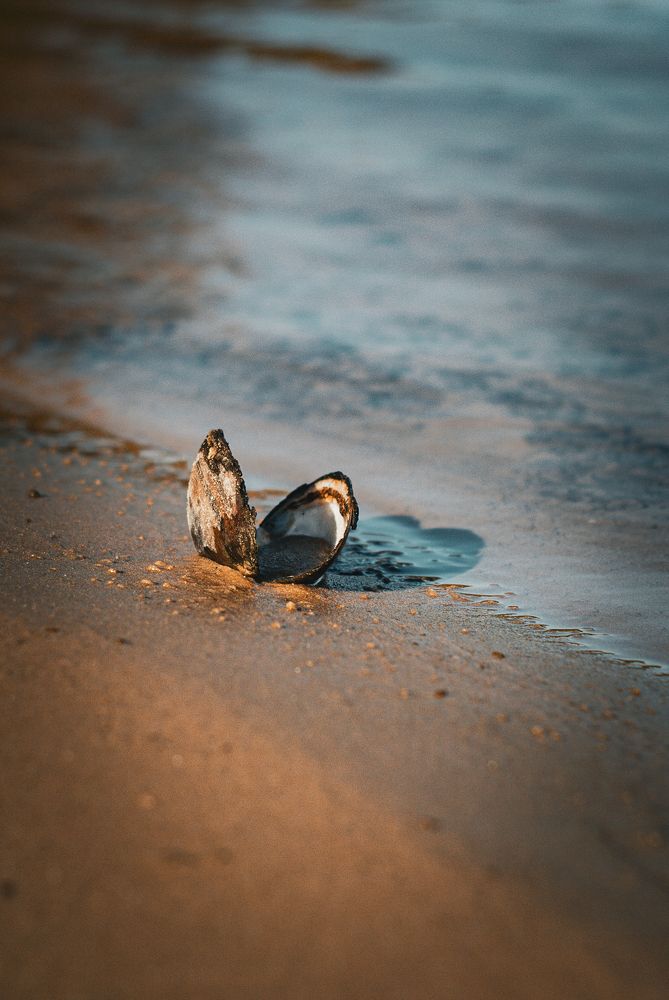 Photograph by Андрей