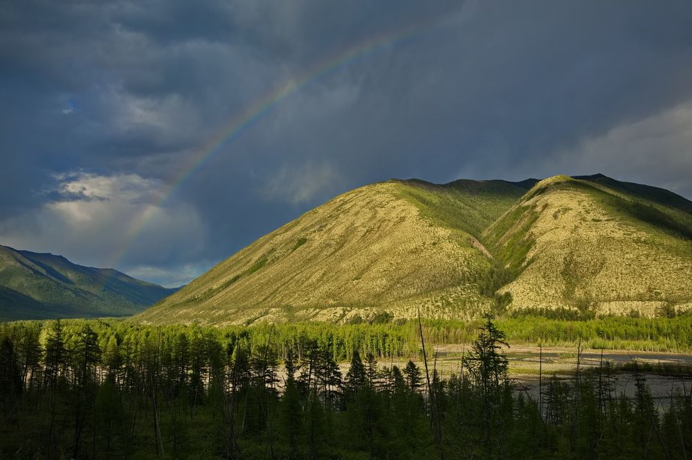 Photograph by Олег Раков