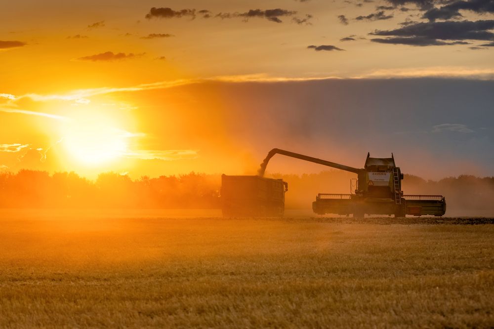 Photograph by Сергей Степанов