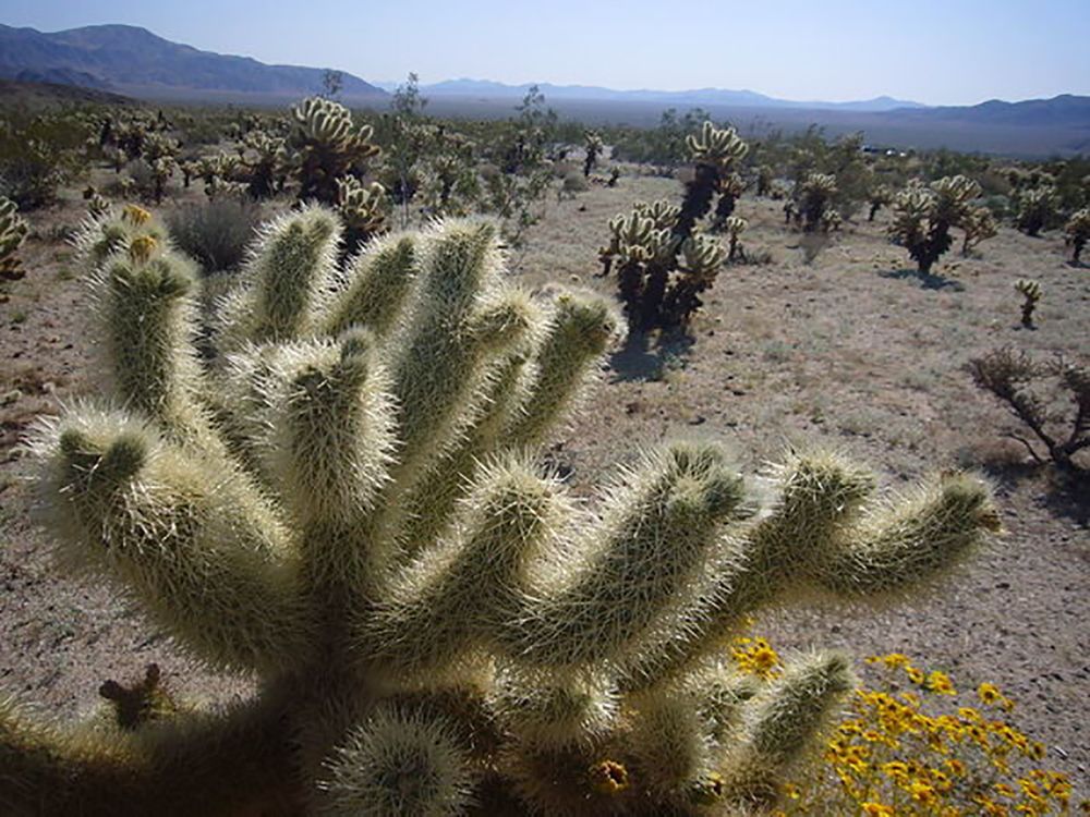 Photograph by Виктор