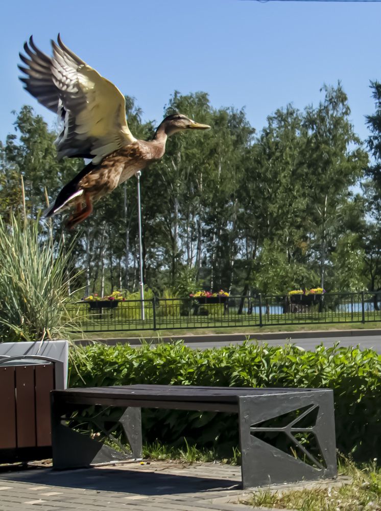 Photograph by Наталья Овчинникова